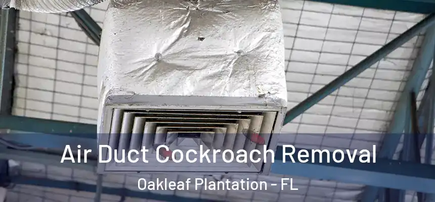 Air Duct Cockroach Removal Oakleaf Plantation - FL
