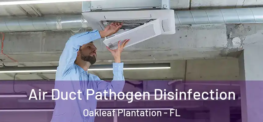 Air Duct Pathogen Disinfection Oakleaf Plantation - FL