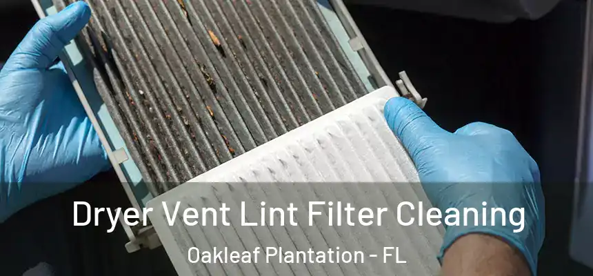  Dryer Vent Lint Filter Cleaning Oakleaf Plantation - FL
