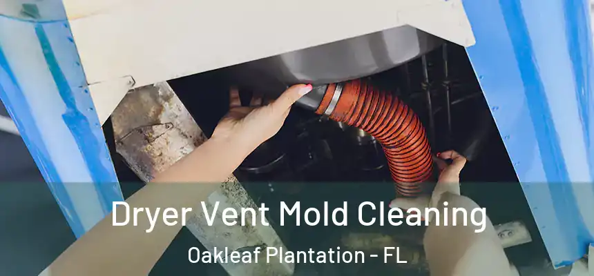 Dryer Vent Mold Cleaning Oakleaf Plantation - FL