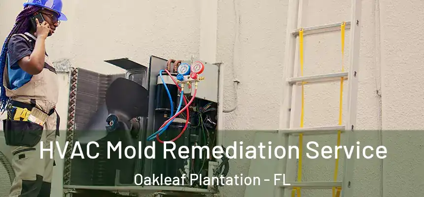 HVAC Mold Remediation Service Oakleaf Plantation - FL