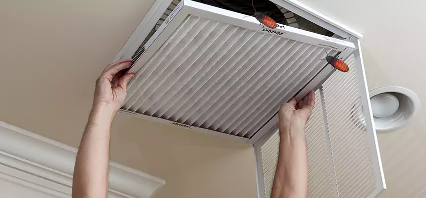 Preventive Cockroach-Proofing for Ducts in Oakleaf Plantation