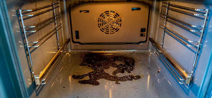 Our Dryer Vent Mold Cleaning Services in Oakleaf Plantation, FL