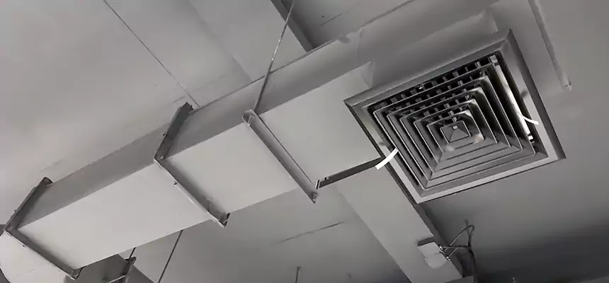 Our Pest Removal From Ducts Services in Oakleaf Plantation, FL