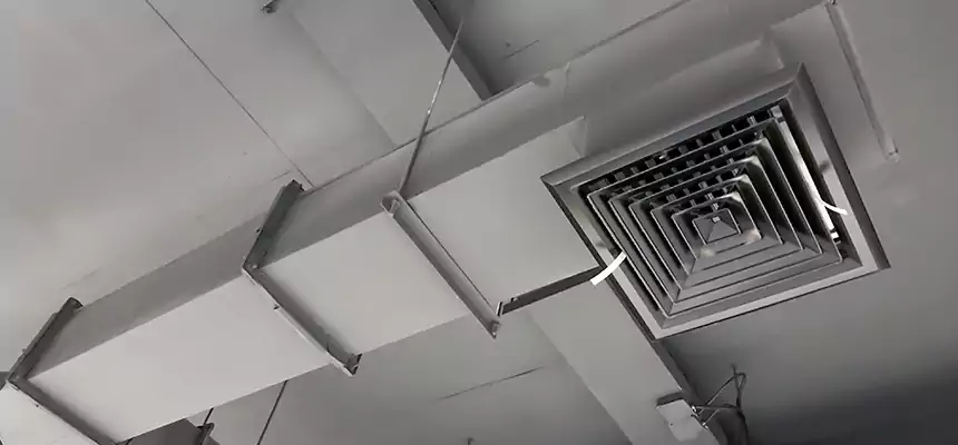 Our Rodent Droppings In Vents Services in Oakleaf Plantation, FL