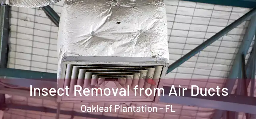 Insect Removal from Air Ducts Oakleaf Plantation - FL