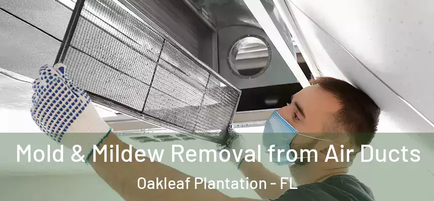 Mold & Mildew Removal from Air Ducts Oakleaf Plantation - FL