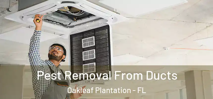 Pest Removal From Ducts Oakleaf Plantation - FL
