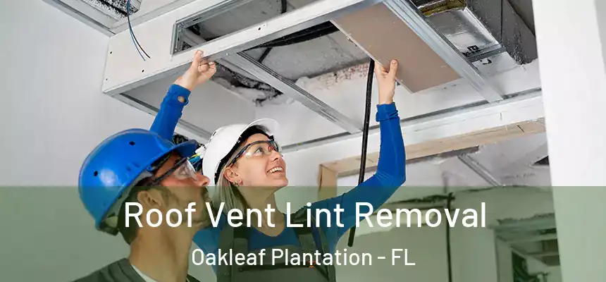 Roof Vent Lint Removal Oakleaf Plantation - FL