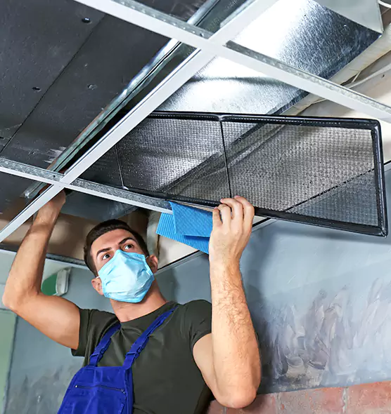 About Air Duct Bacteria Removal in Oakleaf Plantation