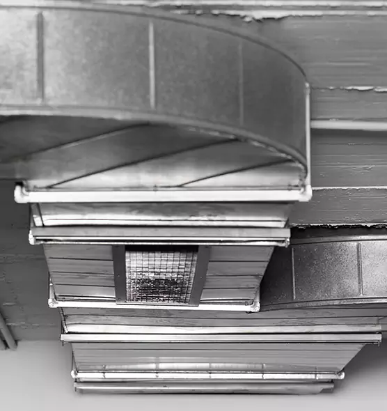 Professional Air Duct Pet Hair Removal in Oakleaf Plantation, FL