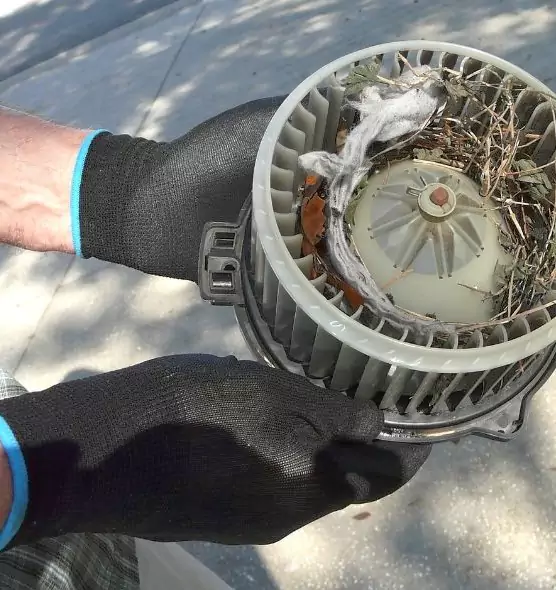 About Air Duct Rat Removal in Oakleaf Plantation, FL