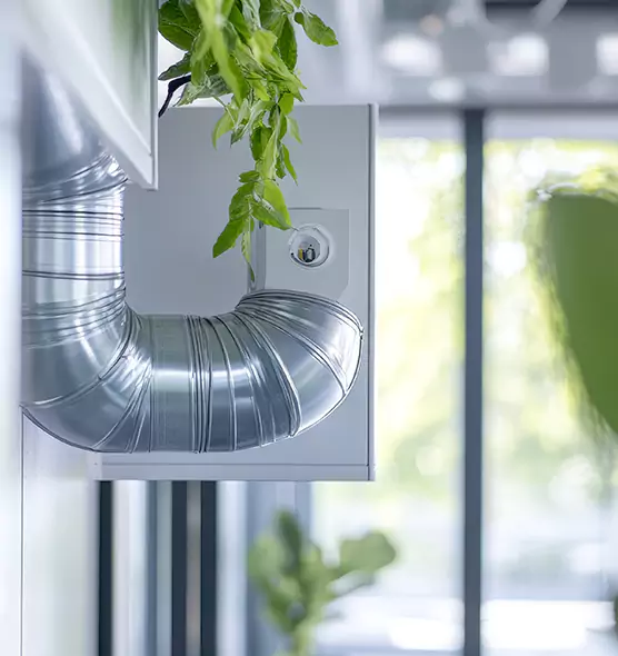 Professional Eco-Friendly Duct Cleaning Services in Oakleaf Plantation, FL