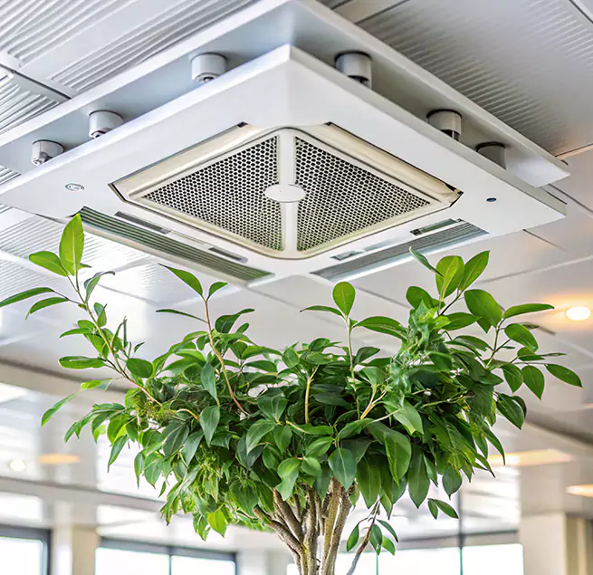 Why Homeowners & Businesses Trust Us in Oakleaf Plantation, FL?