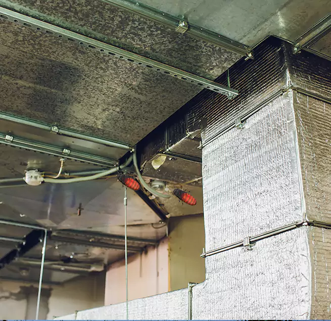 Why Homeowners & Businesses Trust Us Oakleaf Plantation, FL?