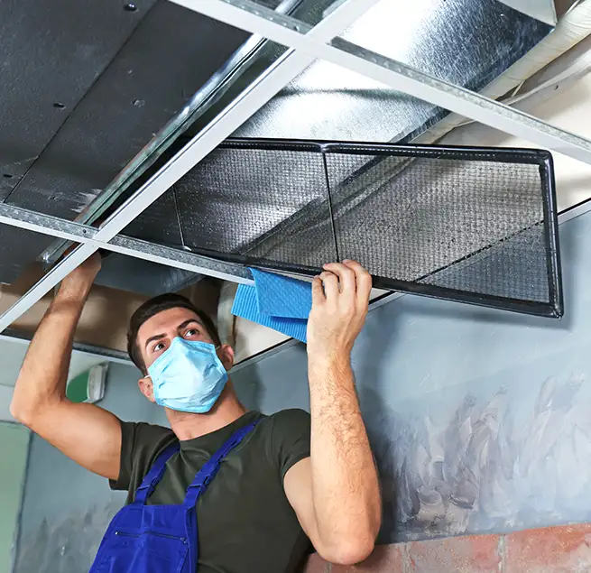 Why Homeowners & Businesses Trust Us in Oakleaf Plantation, FL?