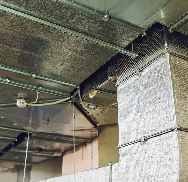 Why Homeowners & Businesses Trust Us in Oakleaf Plantation, FL?