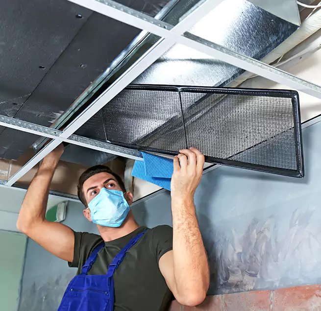 Why Homeowners & Businesses Trust Us in Oakleaf Plantation, FL?