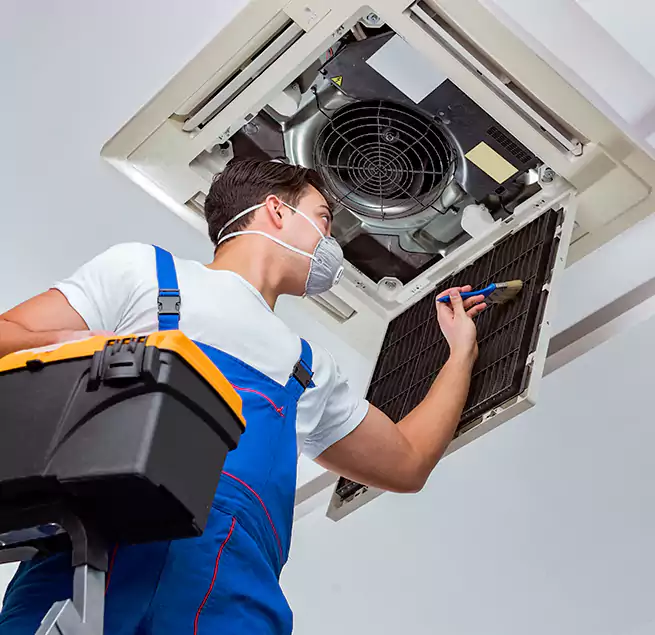 Why Homeowners & Businesses Trust Us in Oakleaf Plantation, FL?